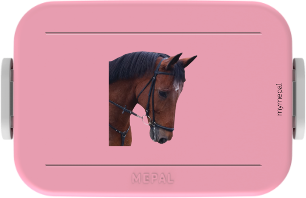 Paard
