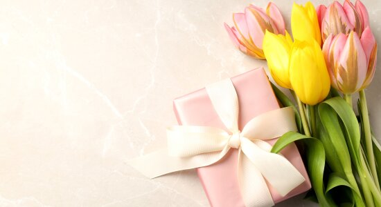 Die schönsten Frühlingsgeschenke